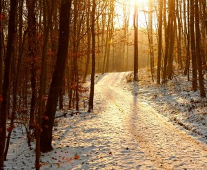 Vinterlandskab - Jesus viser vej fra mørke til lys