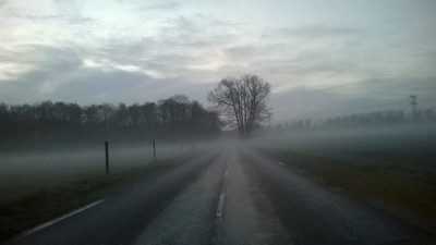 Vej med tåge | Vintræet